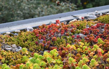the cost of Downderry green roof installation